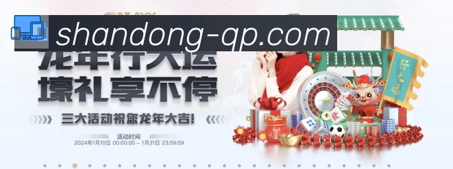 山东体彩服务体系